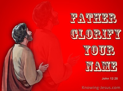 John 12:28 John Father Glorify Your name (red)